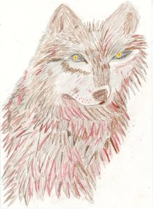 Wolf painting